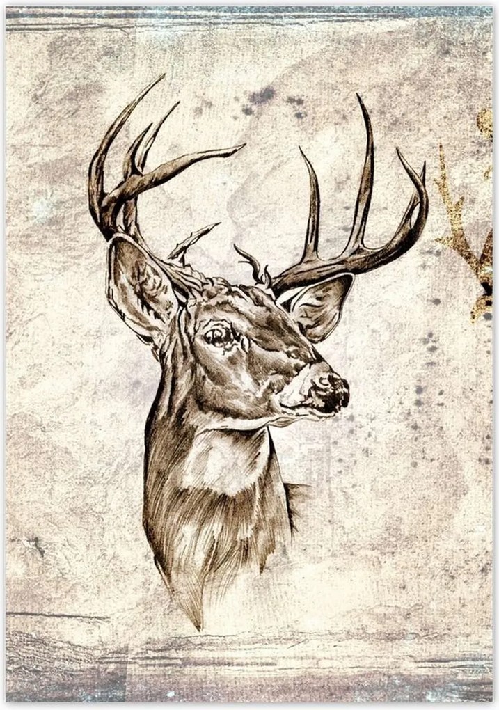 Poszterek 70x100 Szarvas agancsok