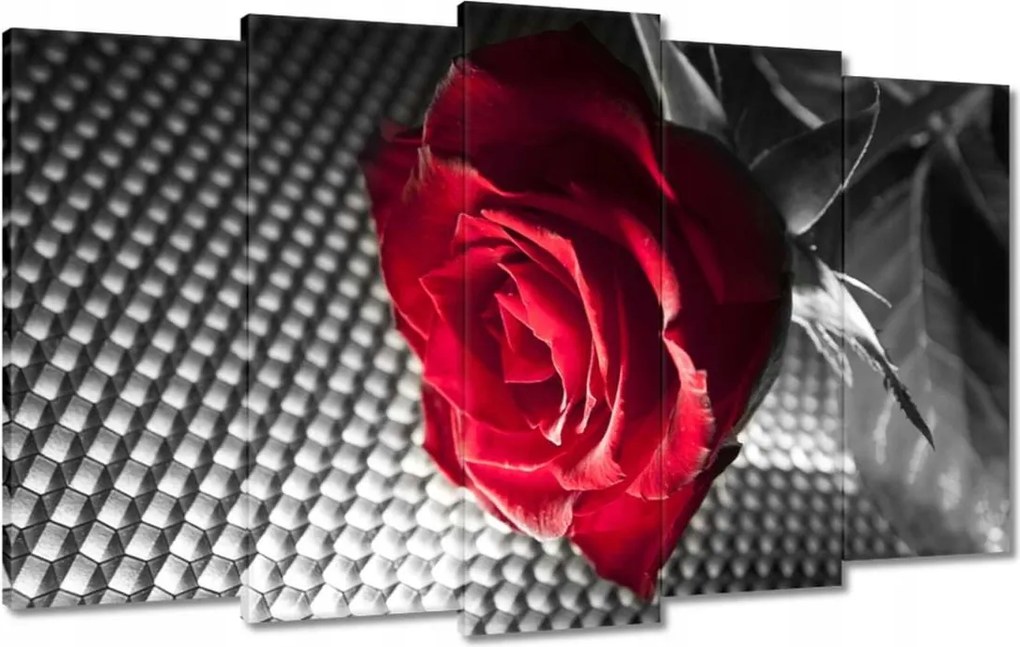 Vászonkép 100x60 Rózsa egy nőnek