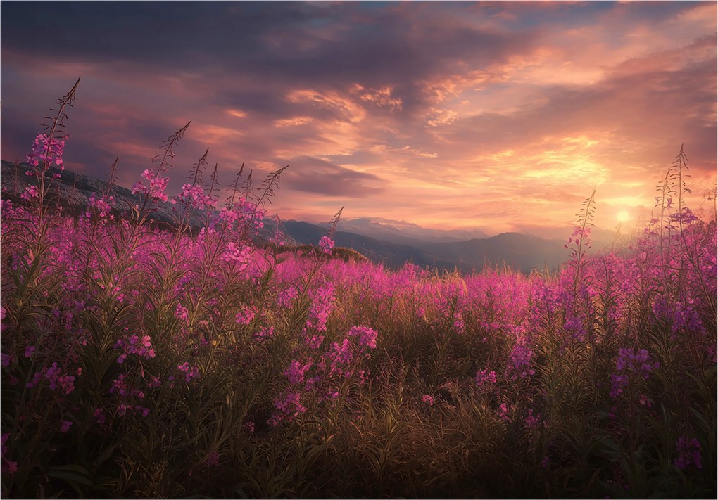 Fotótapéta Virágok Mező Tájkép Hálószoba Nappali Tapéta Flizelina 350x250