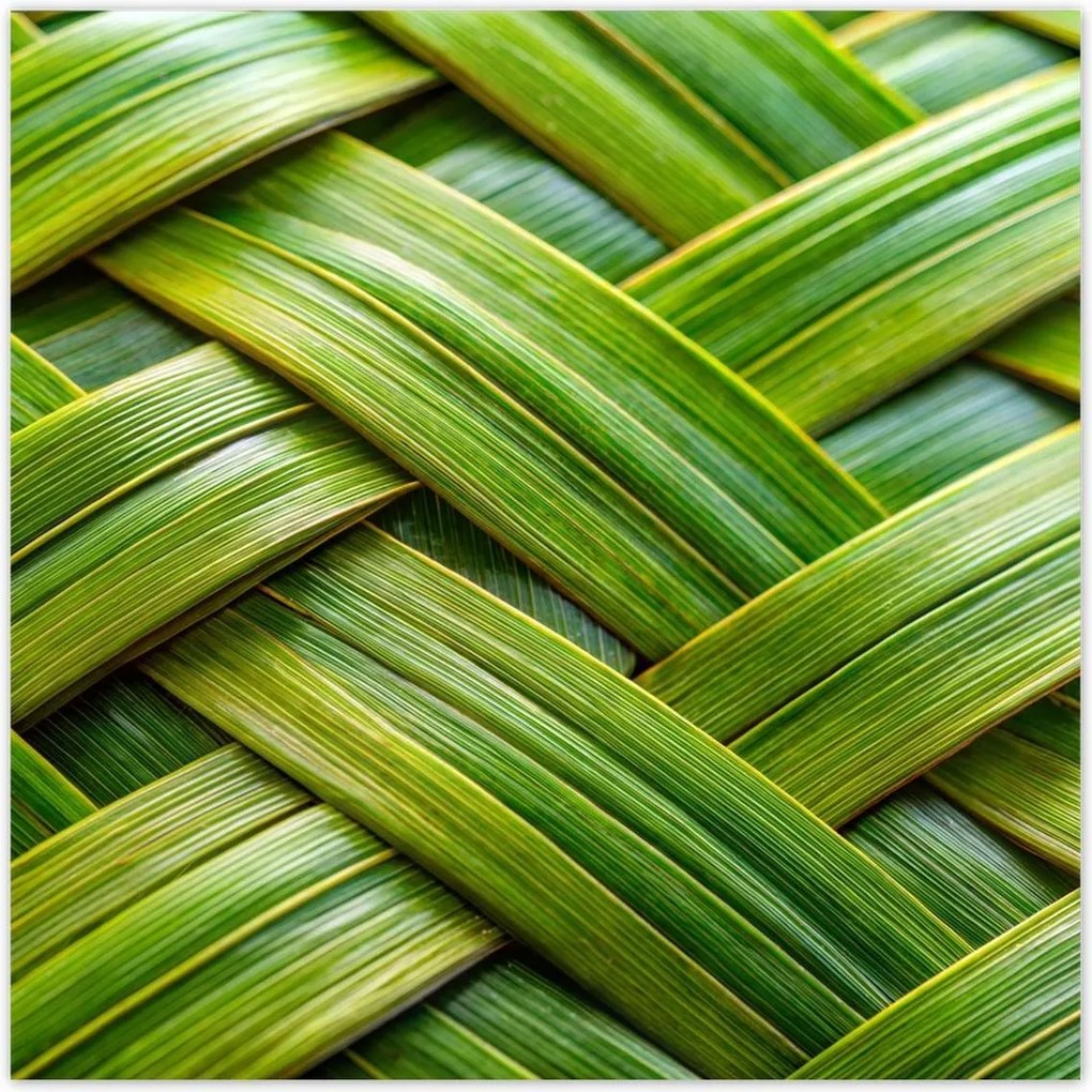 Poszterek 100x100 Zöld fonott Zöld rattan fonott lemez