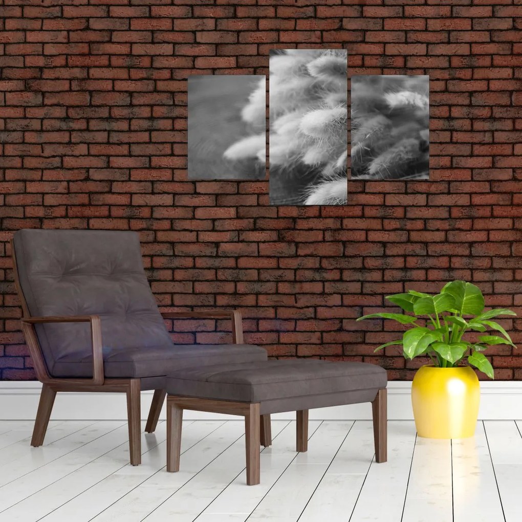 Kép - nyúlfarknyi fű az asztalon (90x60 cm)