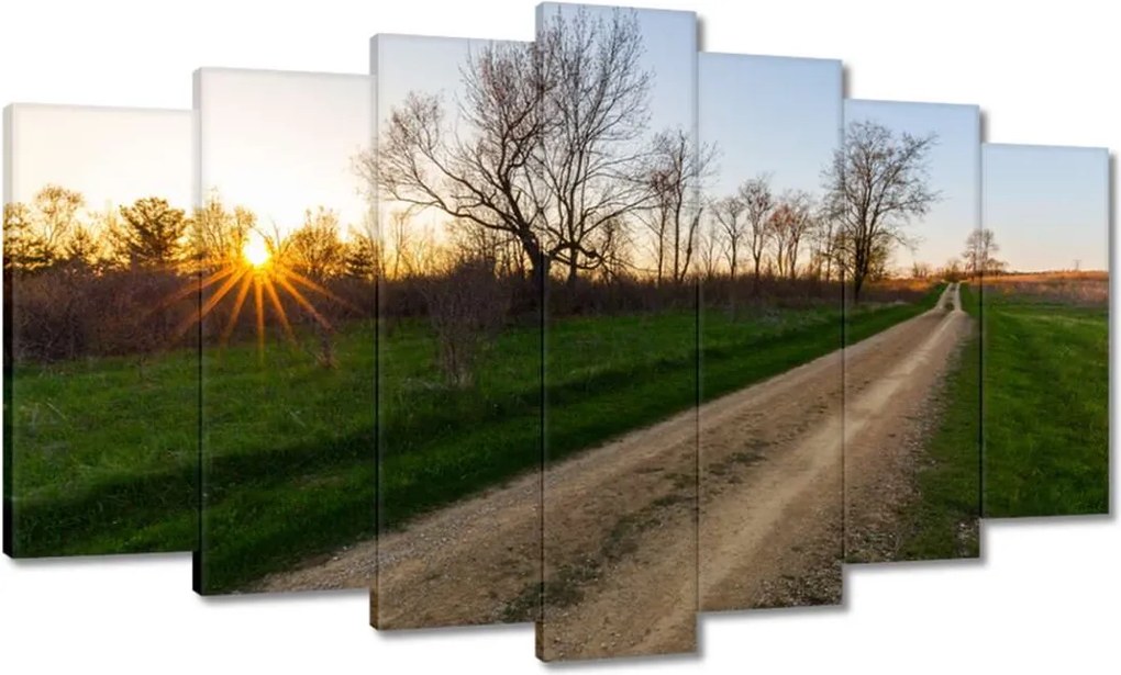 Festmények 140x80 Mező út Fák Mezők