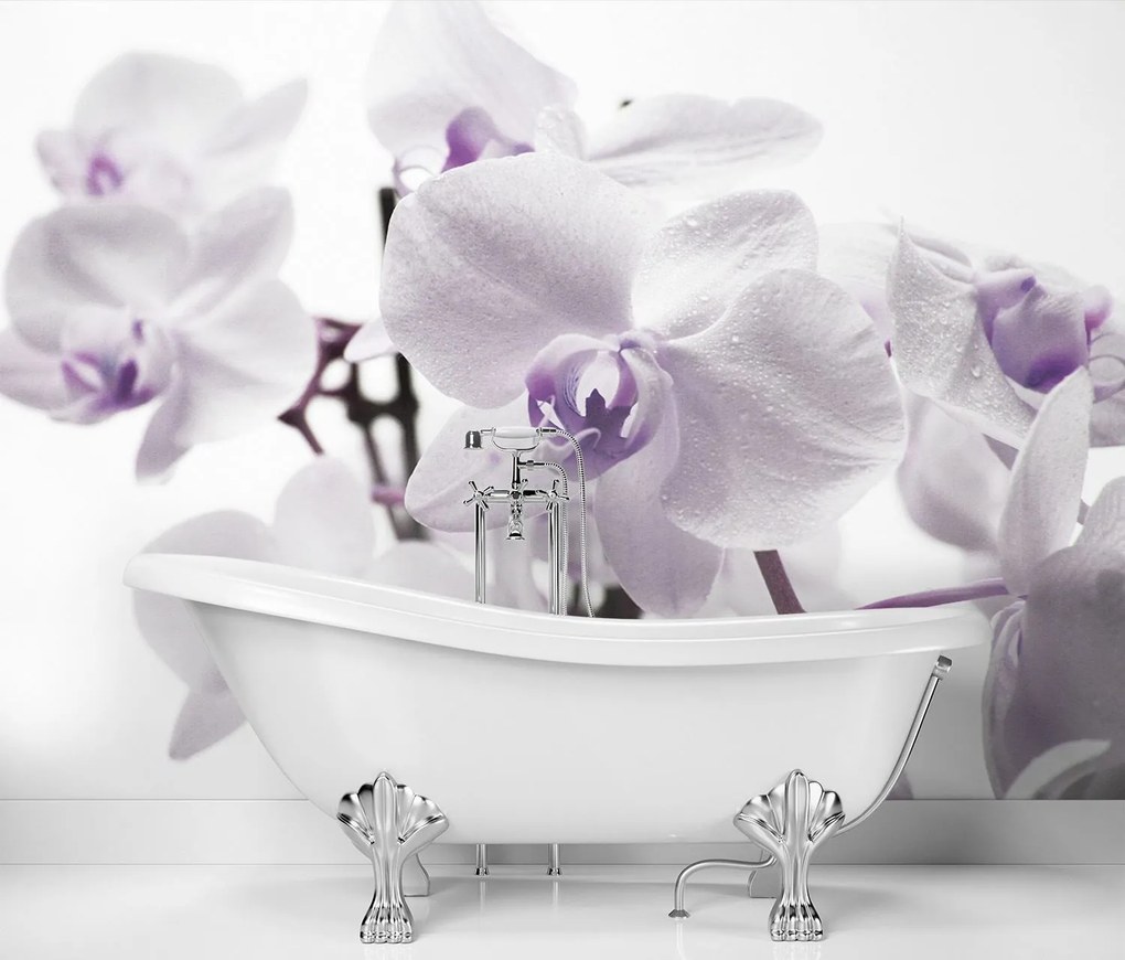 Gario Fotótapéta Virágzó orchidea Anyag: Vlies, Méret: 100 x 70 cm