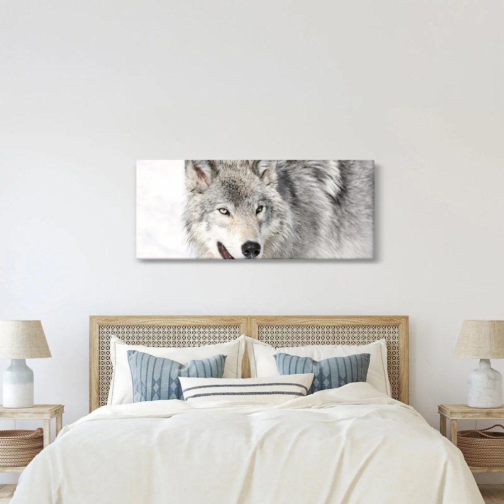 Kép - Farkas a természetben (120x50 cm)