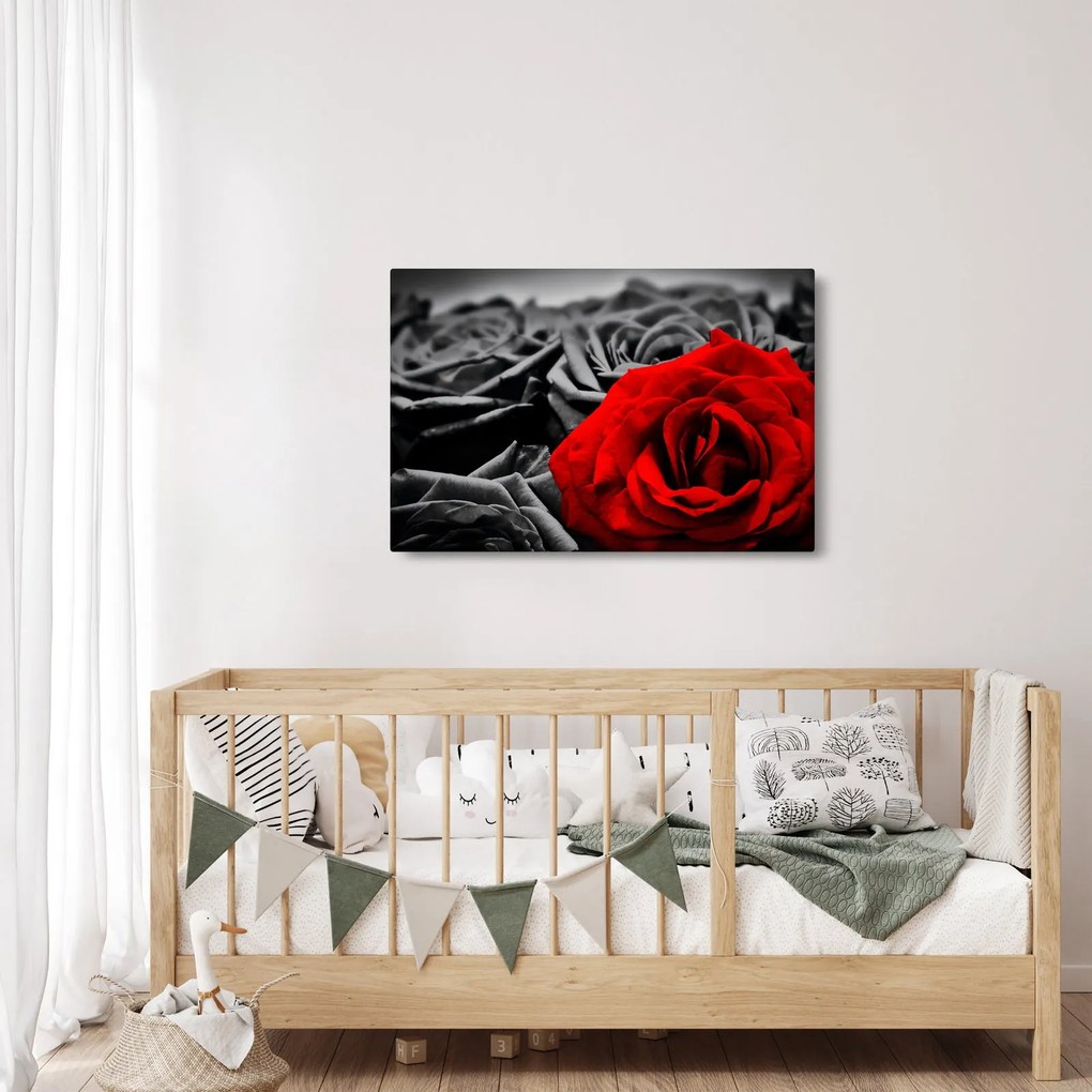 Kép - Rózsák (90x60 cm)