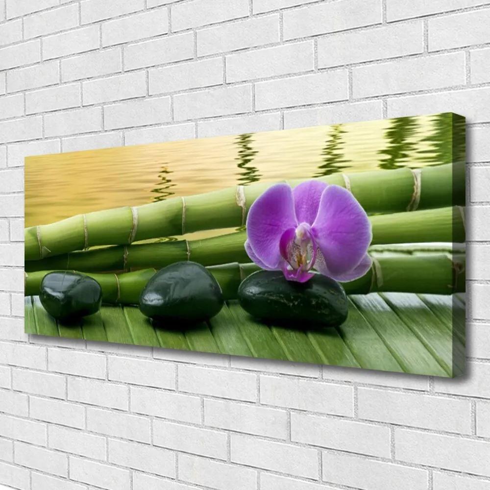 Vászonfotó Virág Stones Bamboo Nature 125x50 cm