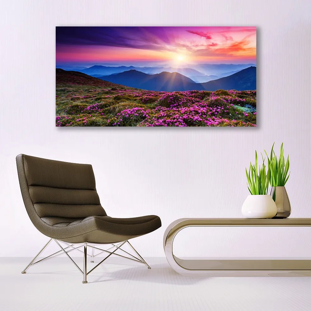 Fali üvegkép Sun Mountain Meadow Landscape 125x50 cm