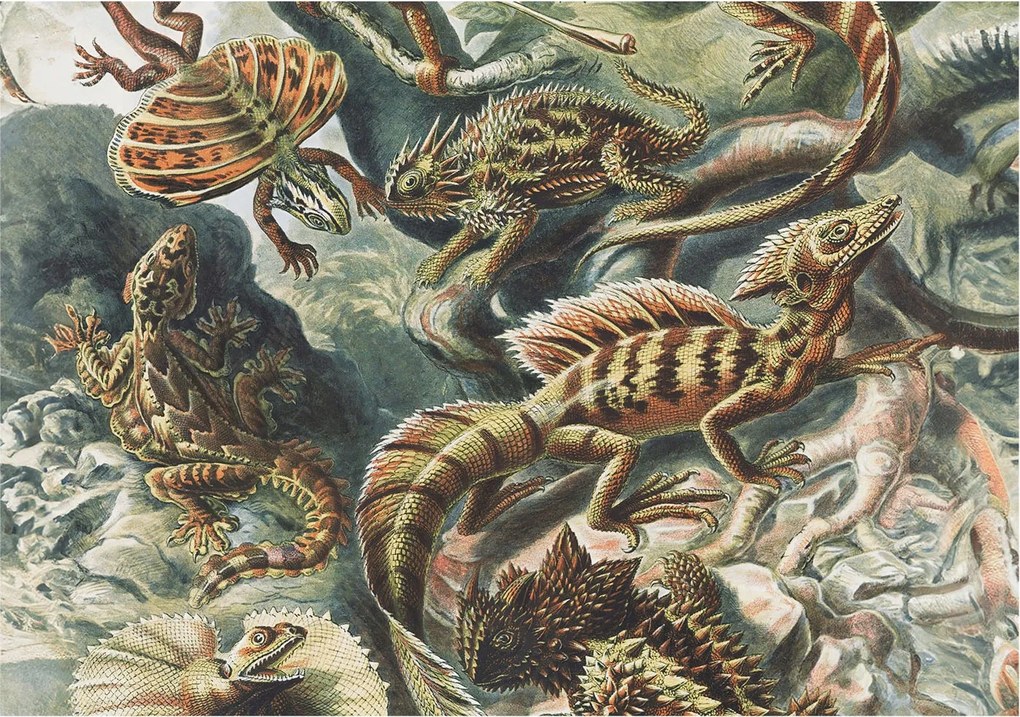 Fotótapéta Fali tapéta Hálószoba Nappali Egzotikus hüllők 208x146 Ragasztó