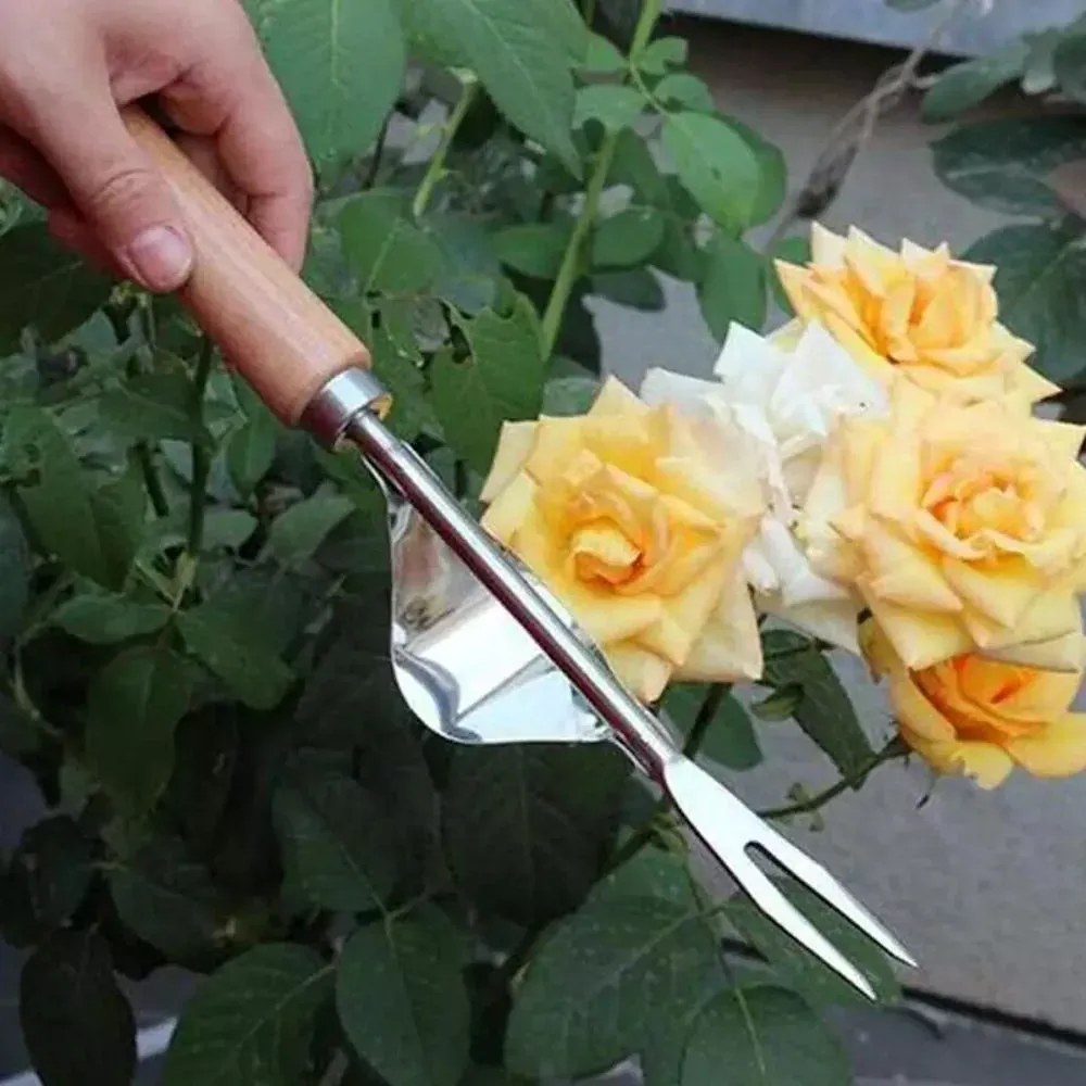 Zaparkorun Gyomkiszedő