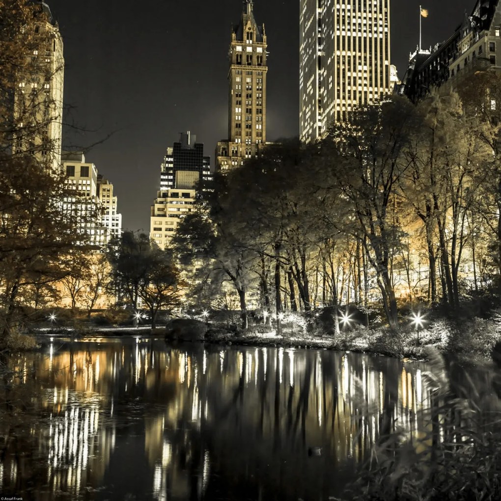Poszter 40x40cm Esti kilátás a New York-i Central Parkra 9, Assaf Frank