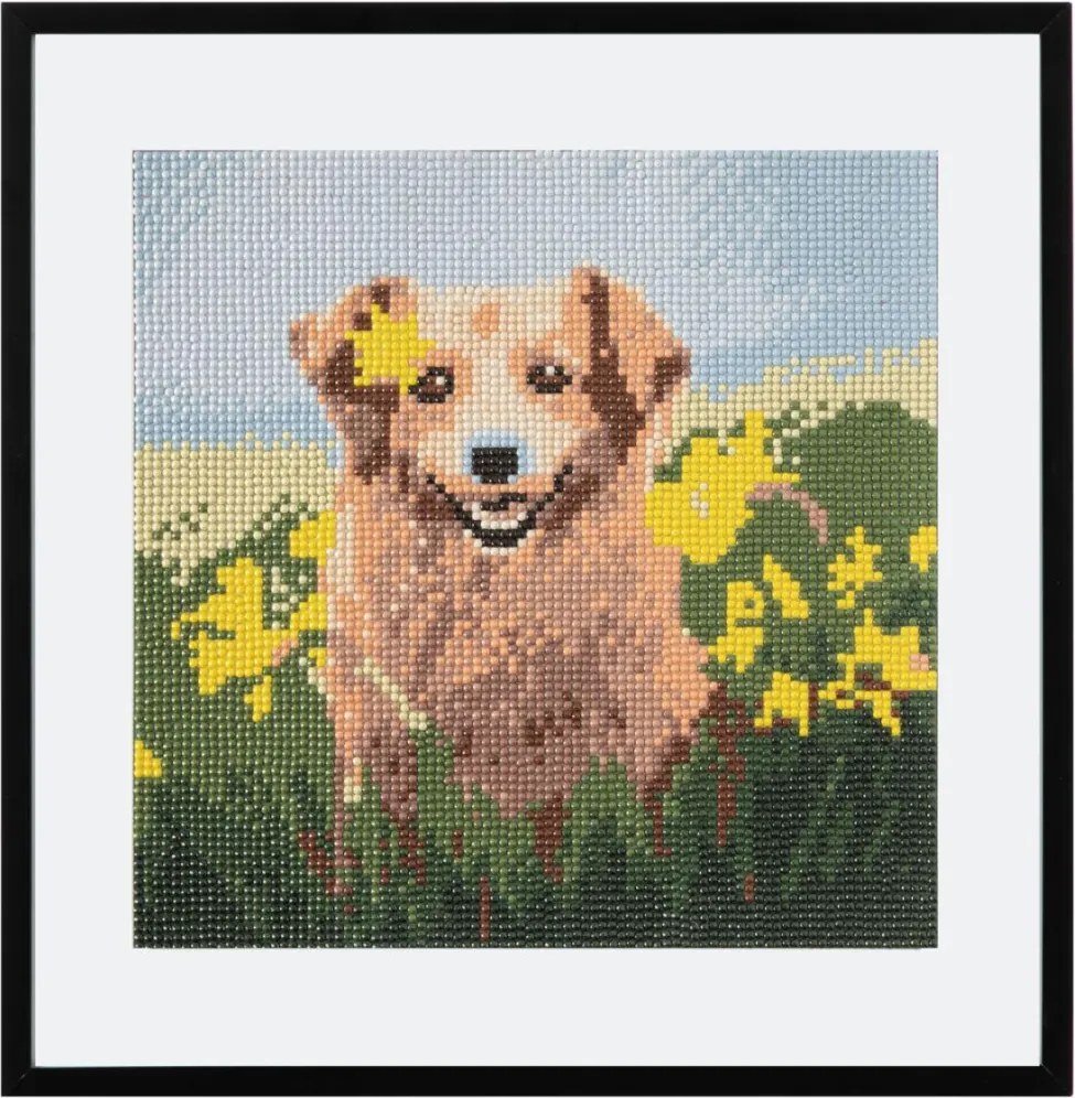 Állatos Dog gyémántszemes kirakó 30x30 cm
