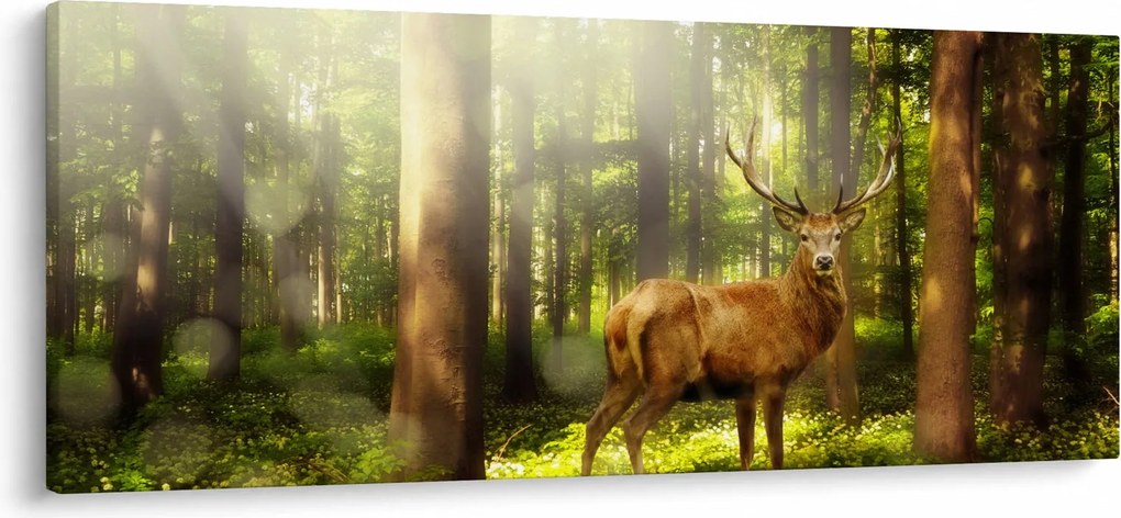 Kép egy szarvas az erdőben (120x50 cm)
