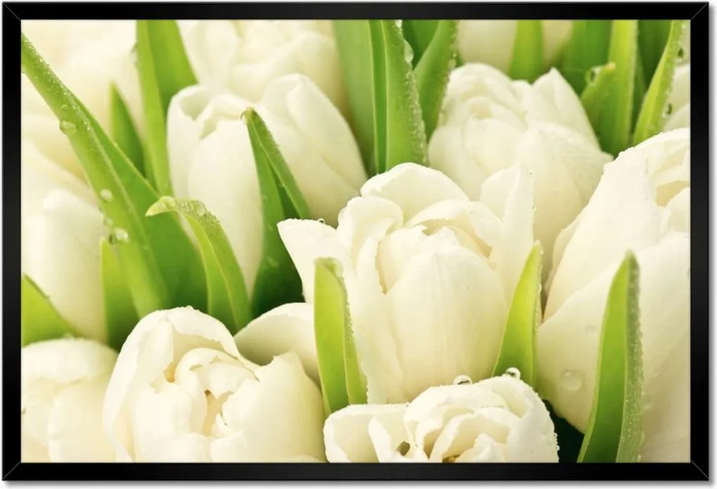 Poszterek keretben 60x40 Finom tulipánok