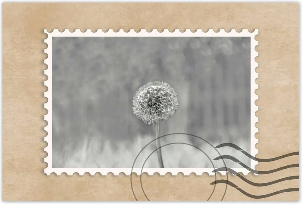 Poszterek 90x60 Pitypang