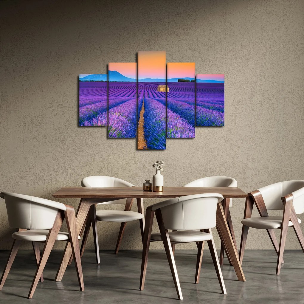 Kép - Levendula mező (150x105 cm)
