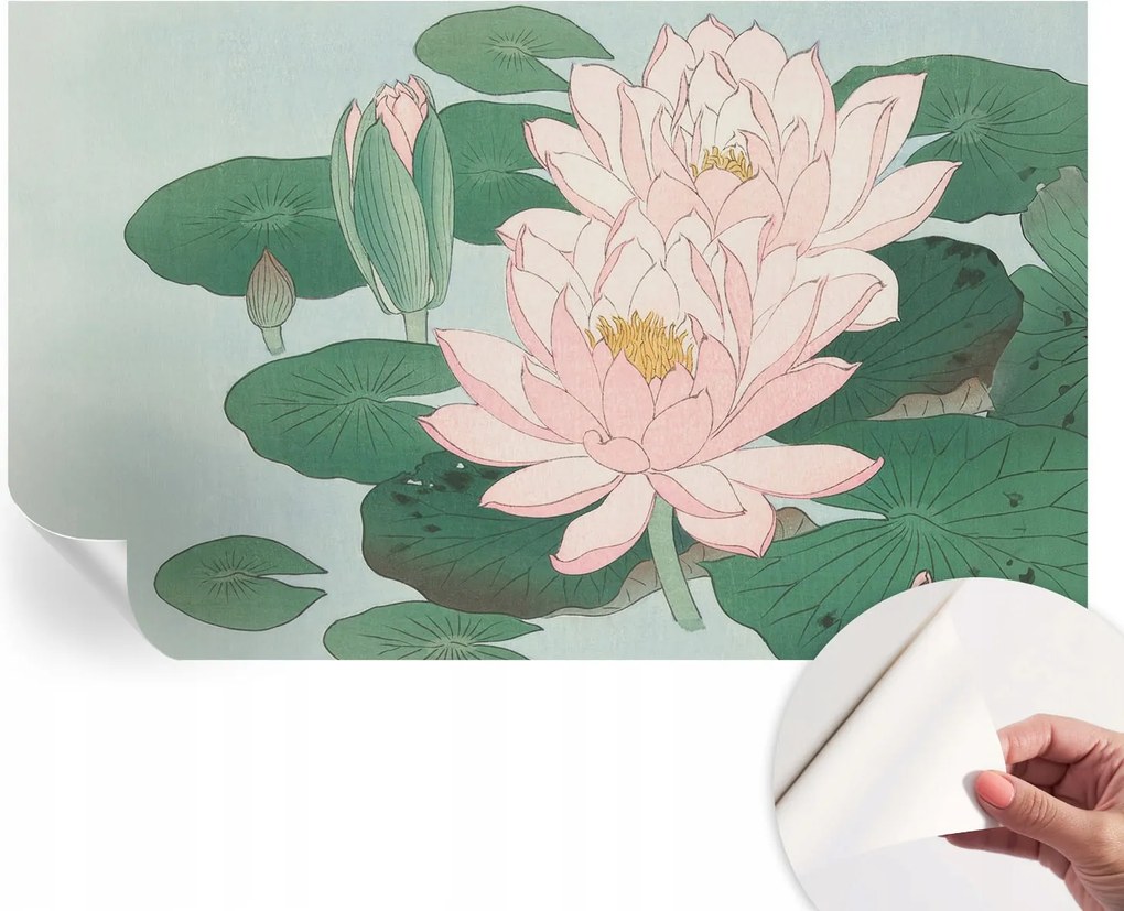 Öntapadós Dekoratív Fotótapéta Hálószobába Vízi lótusz 416x254 cm