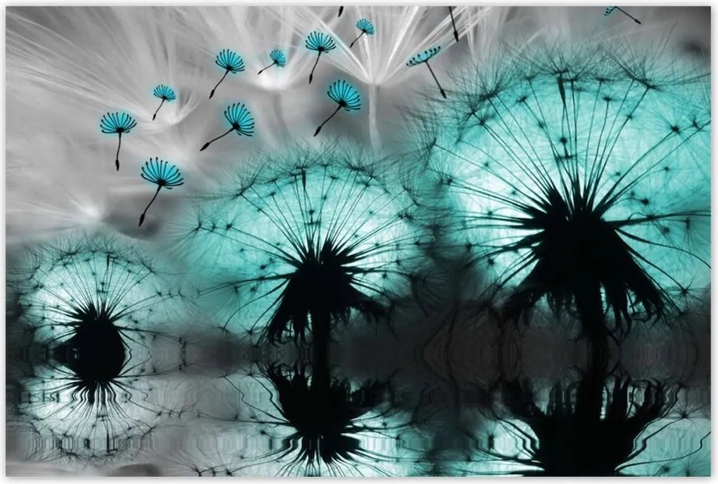 Poszterek 120x80 Kék pitypangok