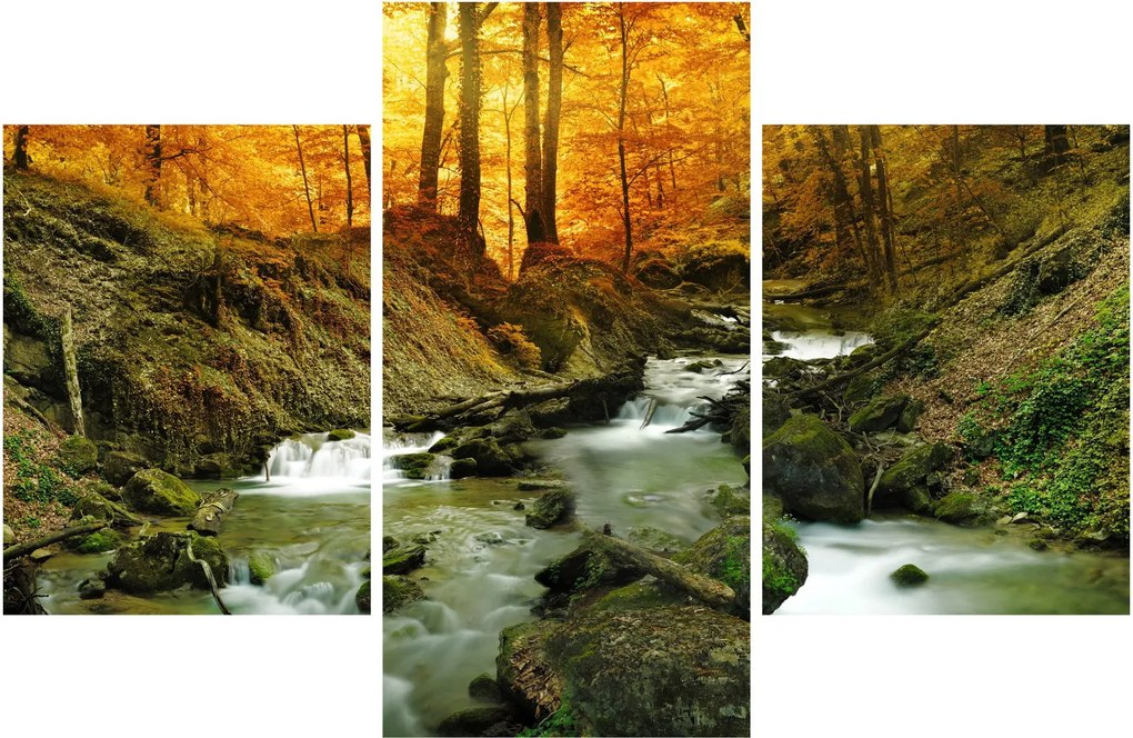 Kép - Erdő (90x60 cm)