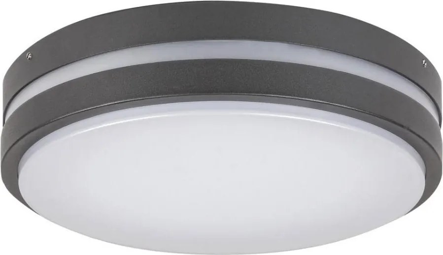 Rabalux 8847 - LED Kültéri fali lámpa HAMBURG LED/10W/230V IP44