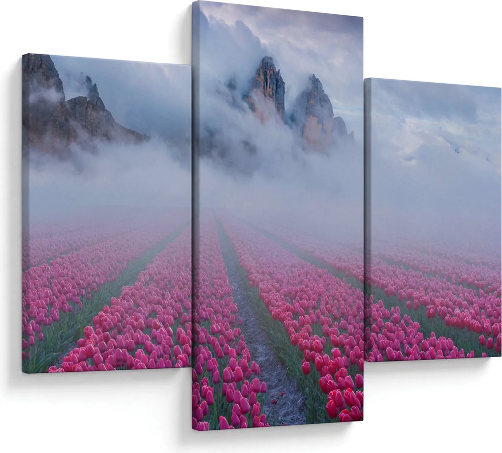 Kép - Tájkép tulipánmezőkkel (90x60 cm)