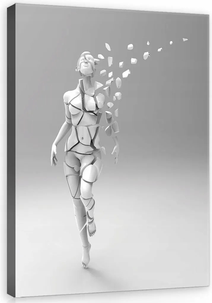 Vászon falikép Nő vászonkép 75x100