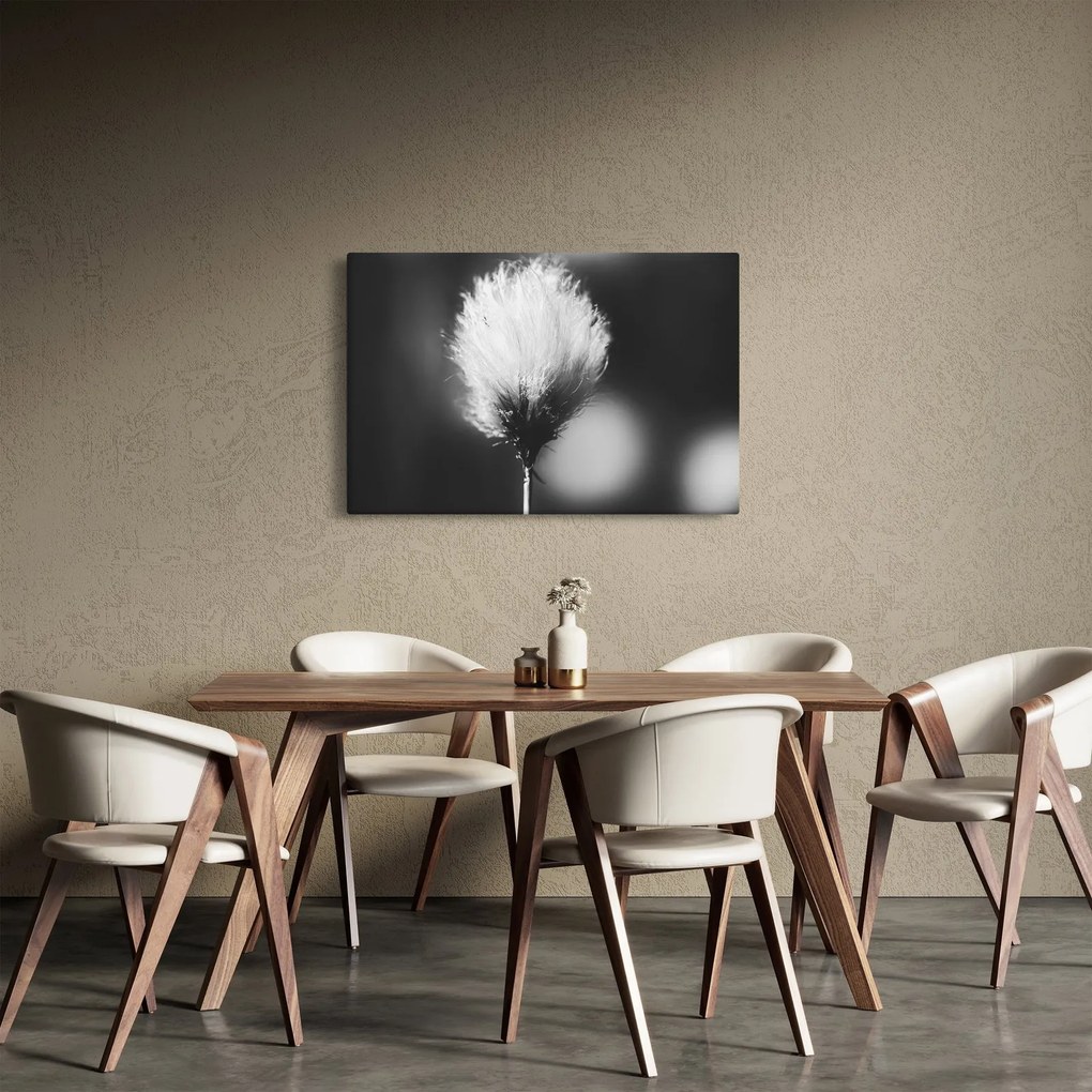 Kép - Fekete-fehér pamutfű (90x60 cm)