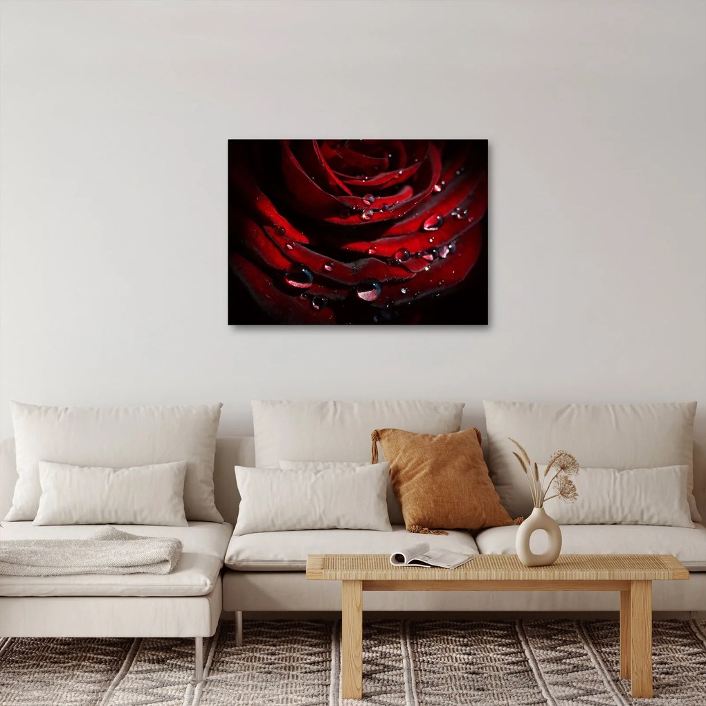 Kép - Rózsa részlete (70x50 cm)
