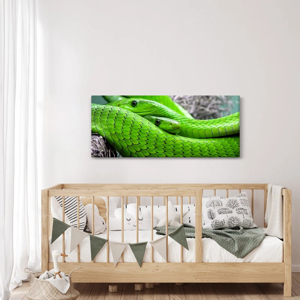 Zöld kígyók képe (120x50 cm)