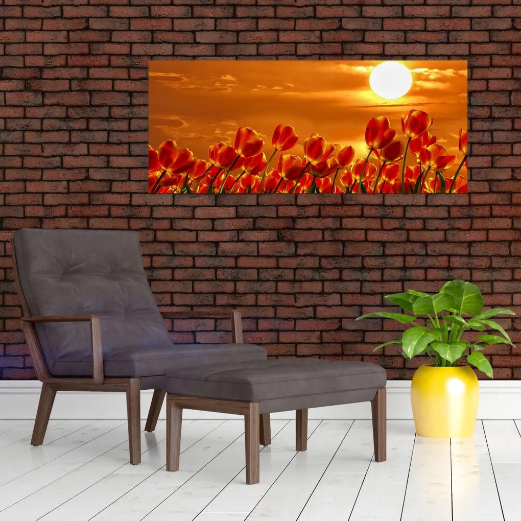 Kép egy virágzó mező tulipánokkal (120x50 cm)