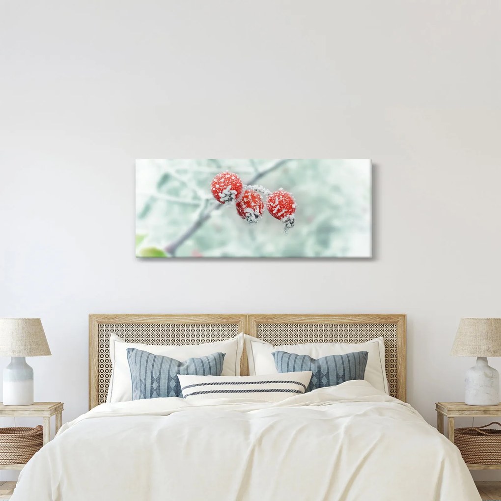 Fagyasztott csipkebogyó képe (120x50 cm)
