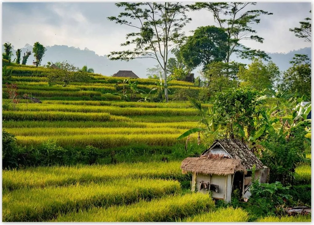 Poszterek 70x50 Tájkép Látvány