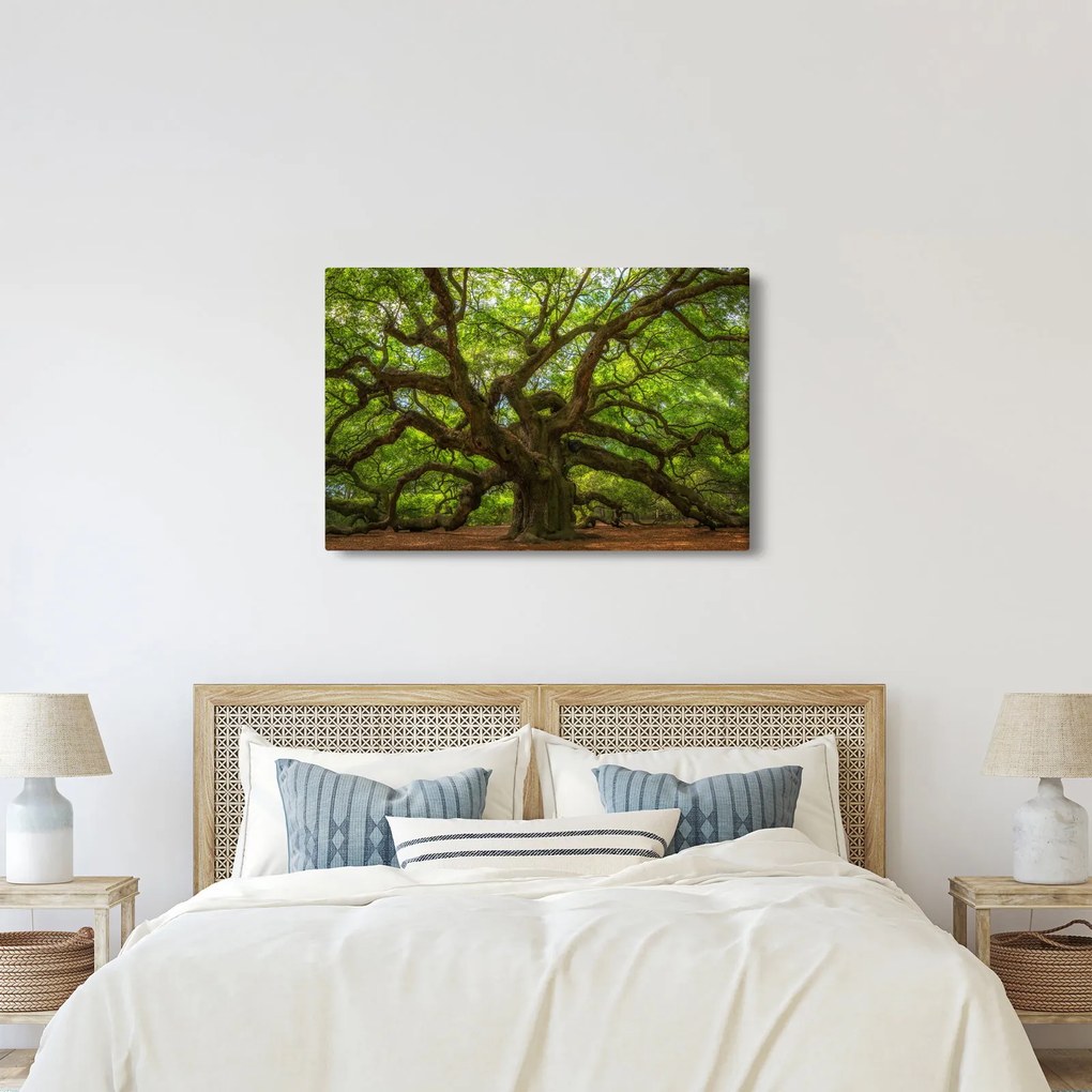 Kép - Zöld fa (90x60 cm)