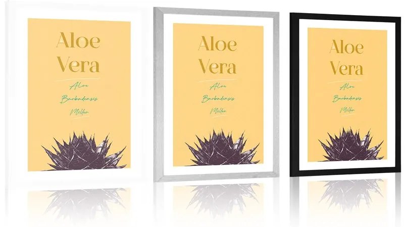 Poszter paszportuval  stílusos felirattal Aloe Vera