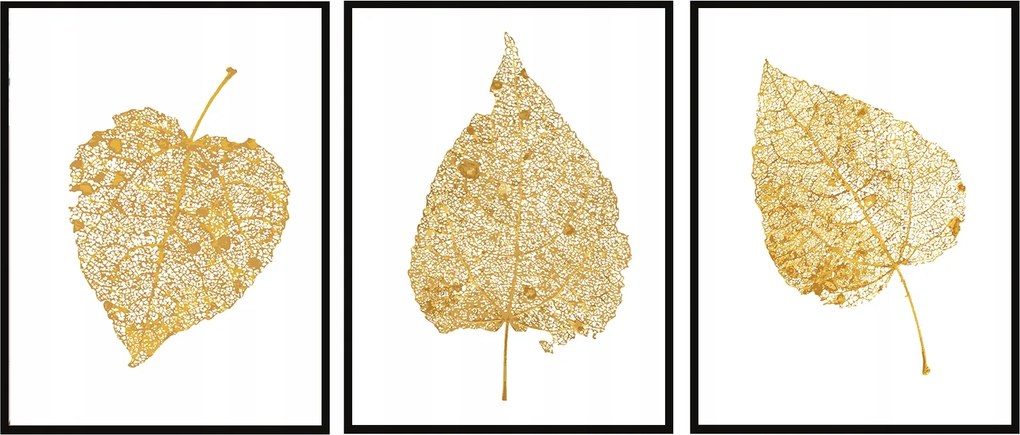 Vászonkép Poszter Keretben 33x43cm Triptichon Levelek P1886