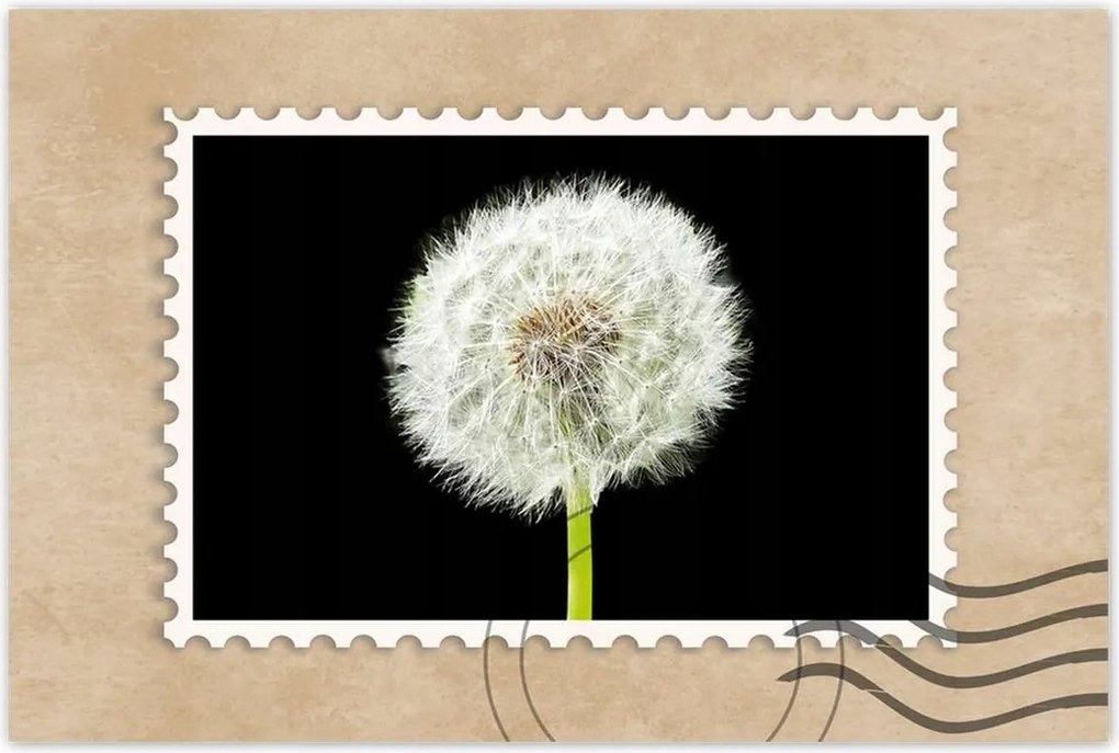 Poszterek 120x80 Pitypang virág rét