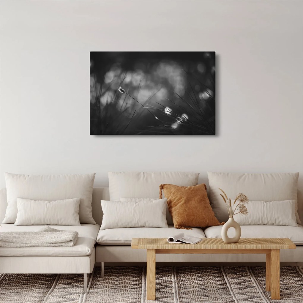 Kép - Mezei fű (90x60 cm)