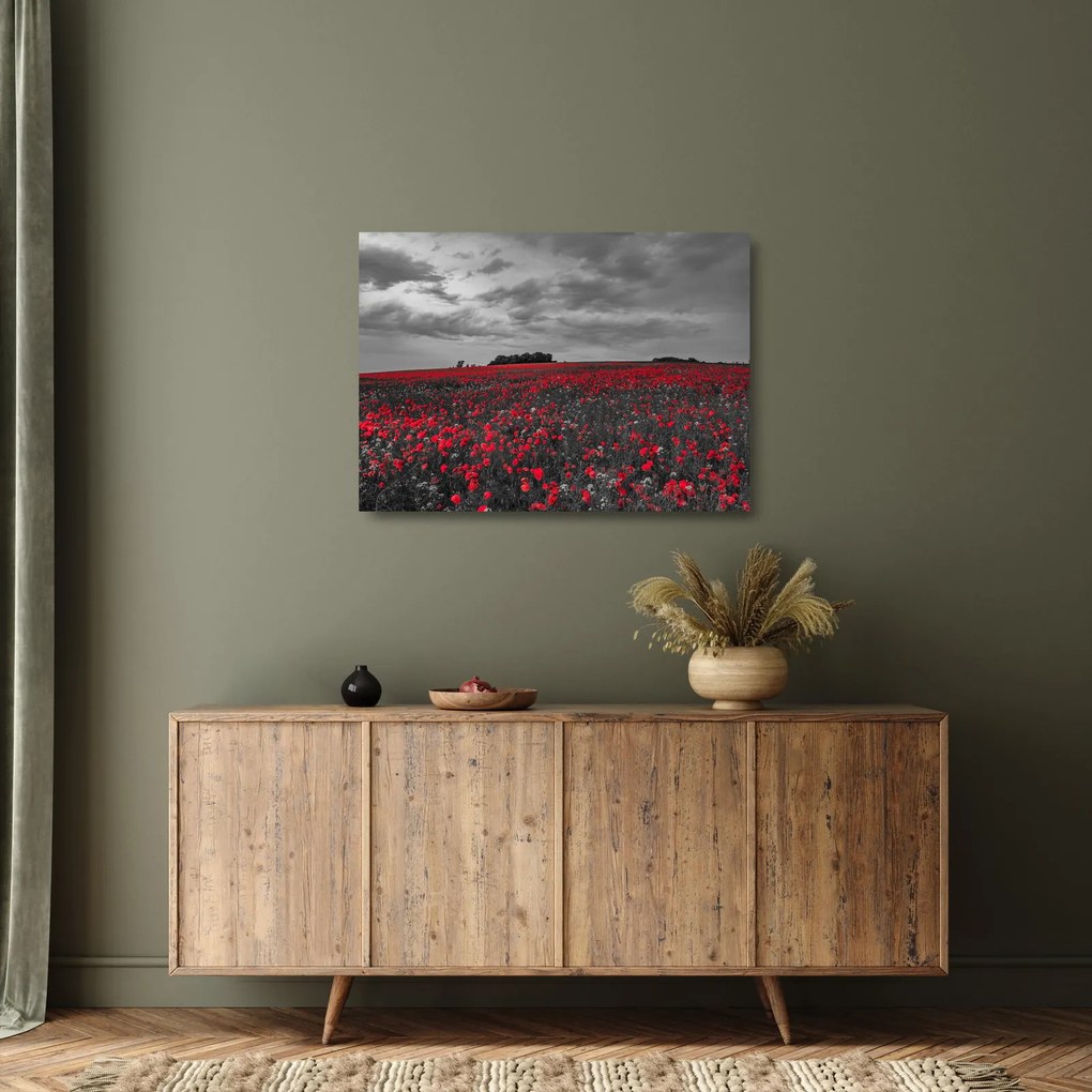 Pipacsos kép (üvegen) (70x50 cm)