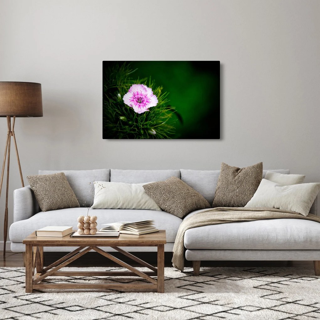 Rózsaszín virág képe (90x60 cm)