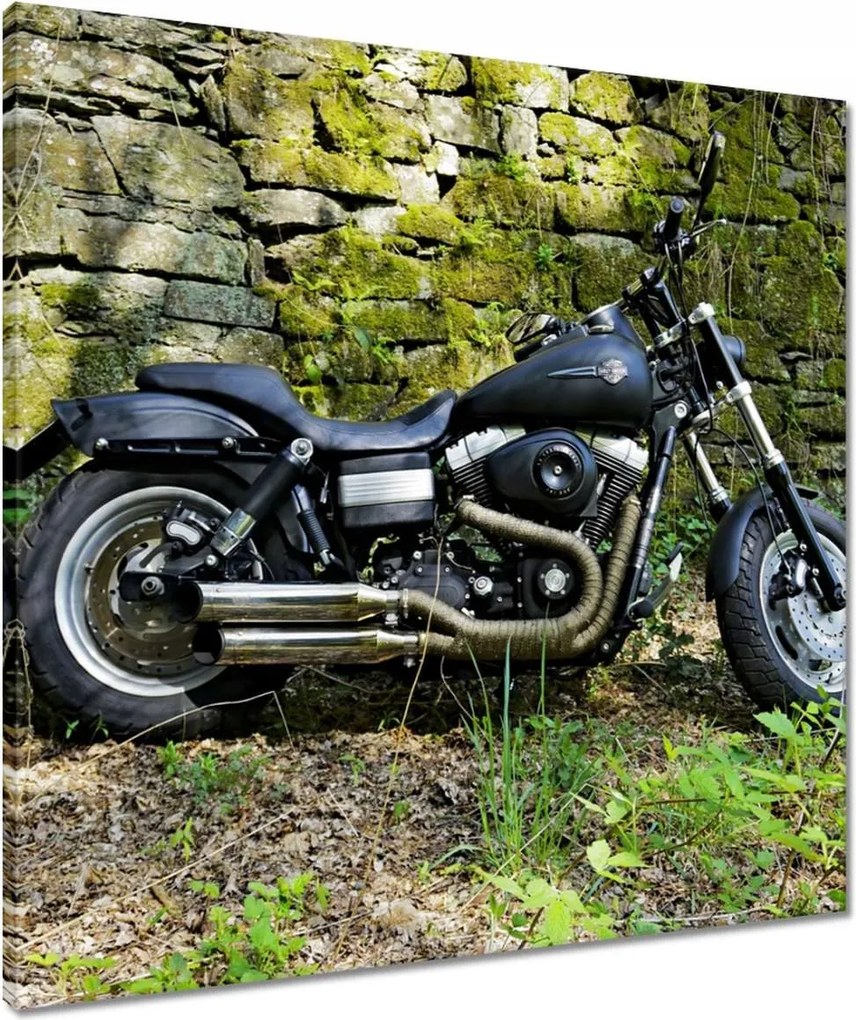 Vászonkép 60x60 Harley-val a kiránduláshoz