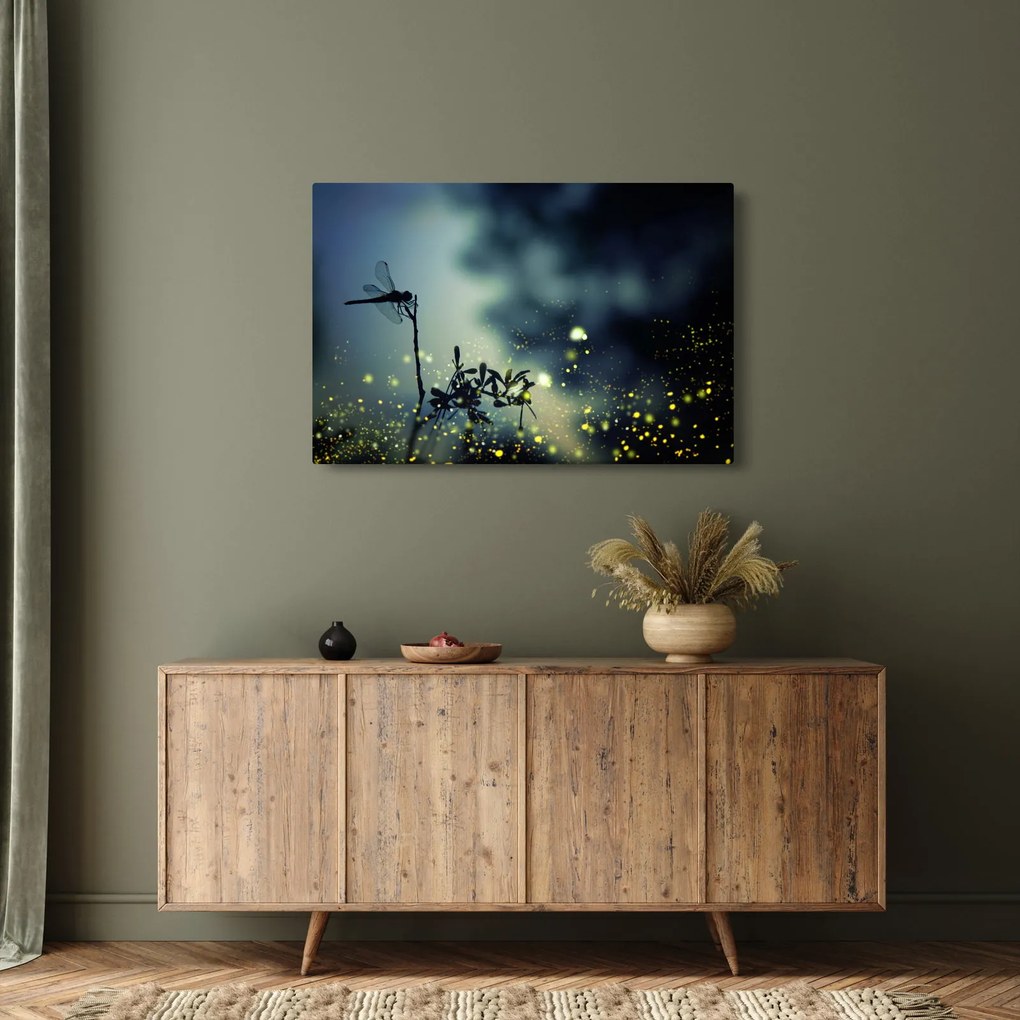 Kép - szitakötő a csillogó éjszakában (90x60 cm)