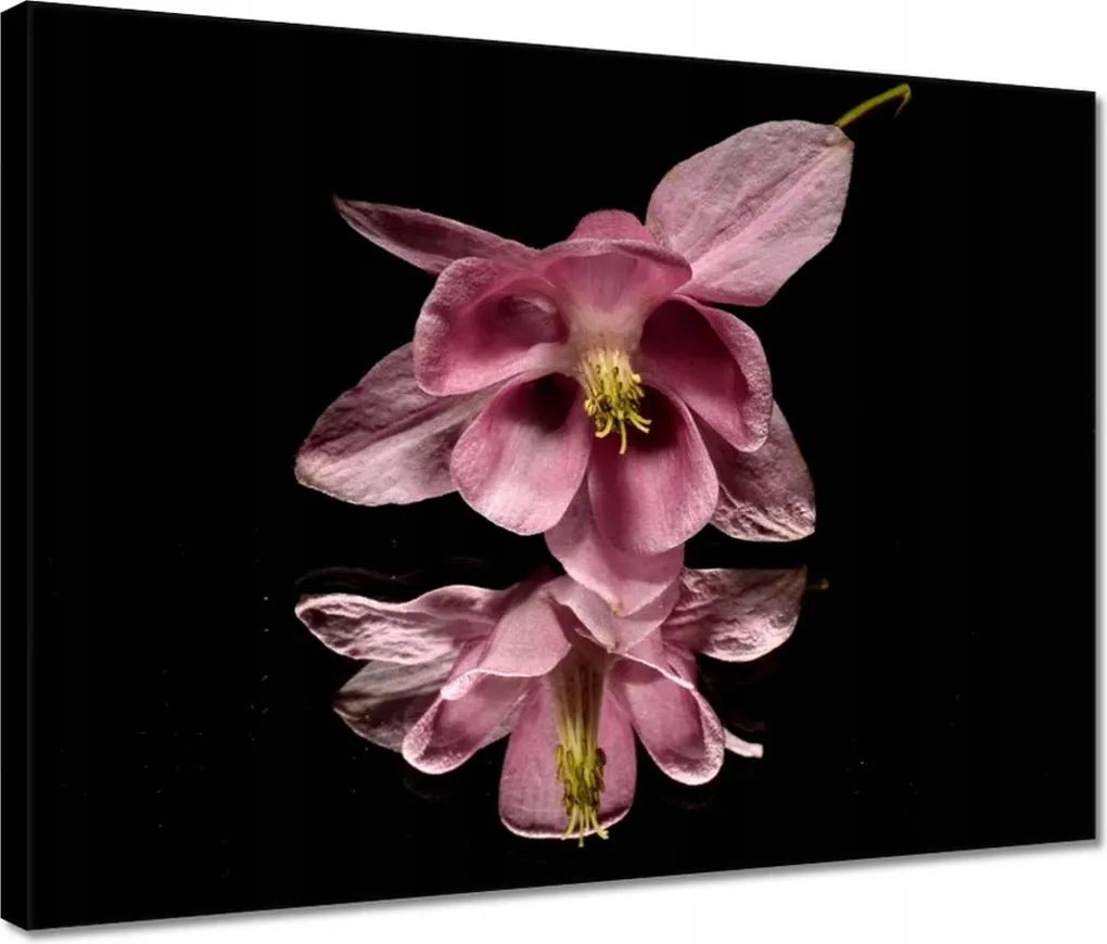 Vászonkép 40x30 Nőnap Ajándék Love