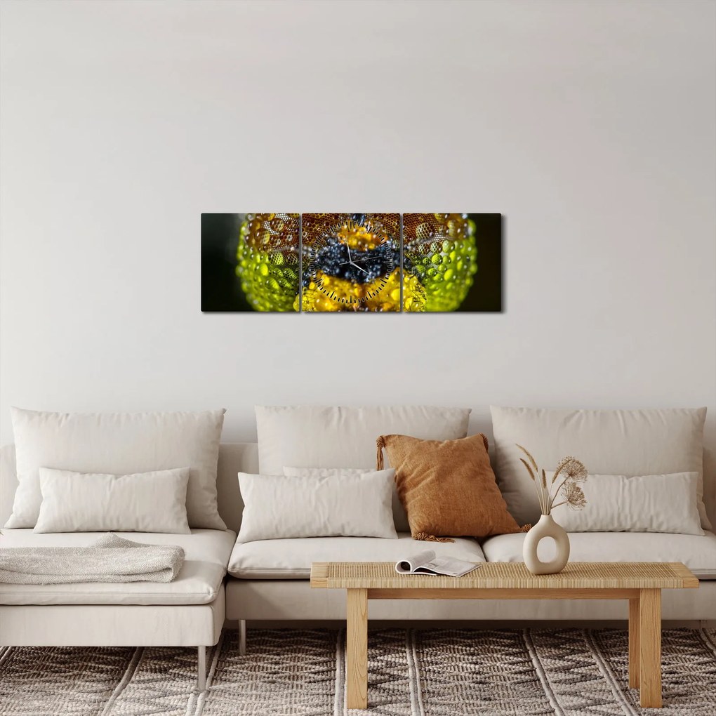 Részletes kép a rovar szemről (órával) (90x30 cm)