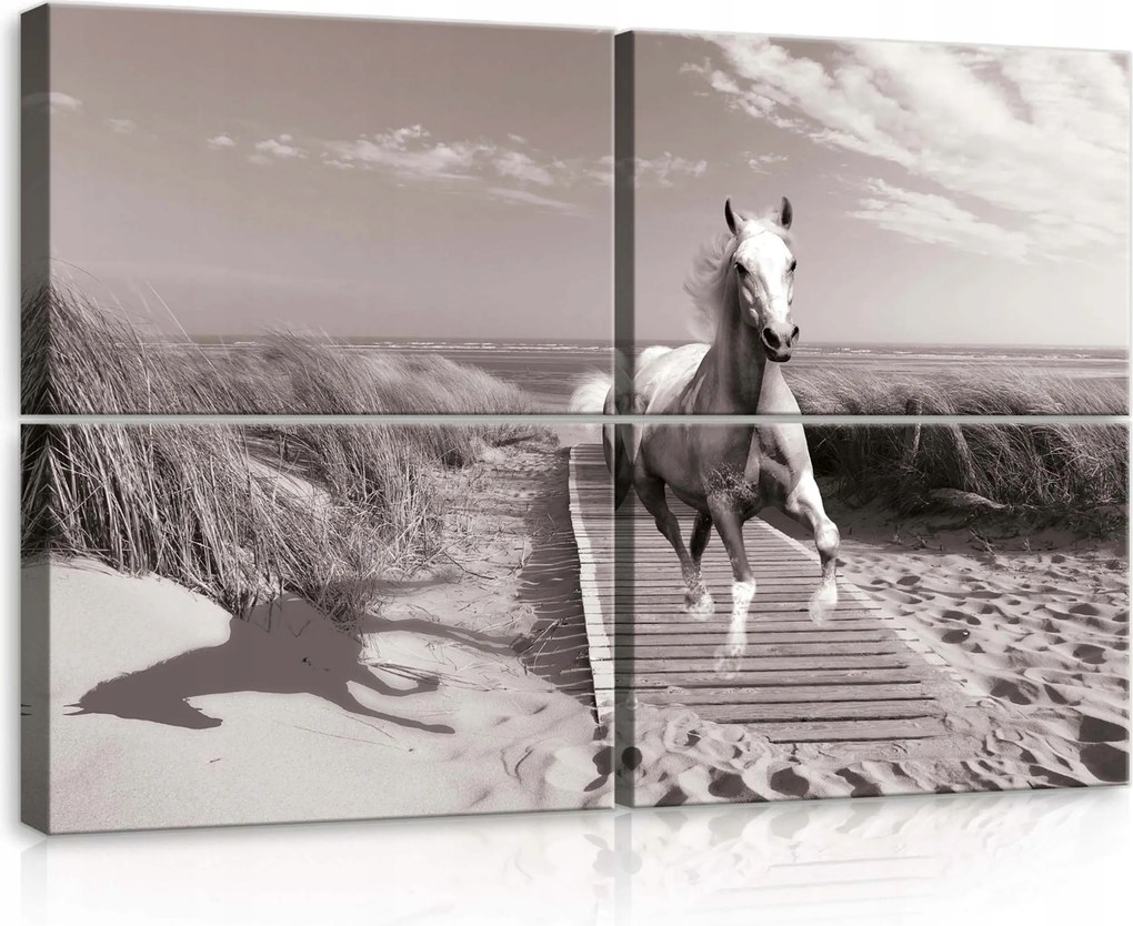 Vászonkép 120x80 Fehér ló galopp tengerpart dűnék szabadság természet mozgás energia erő