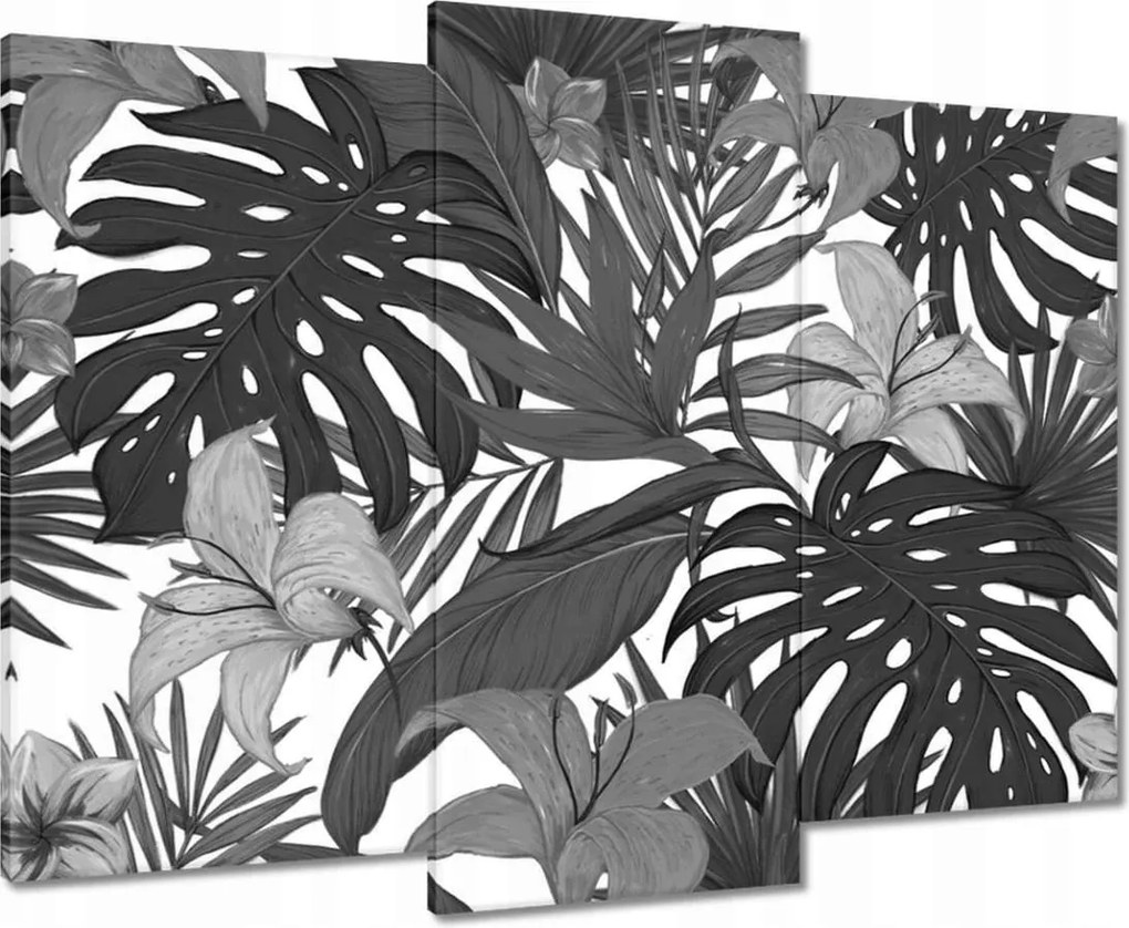 Vászonkép 90x70 Fekete-fehér monstera