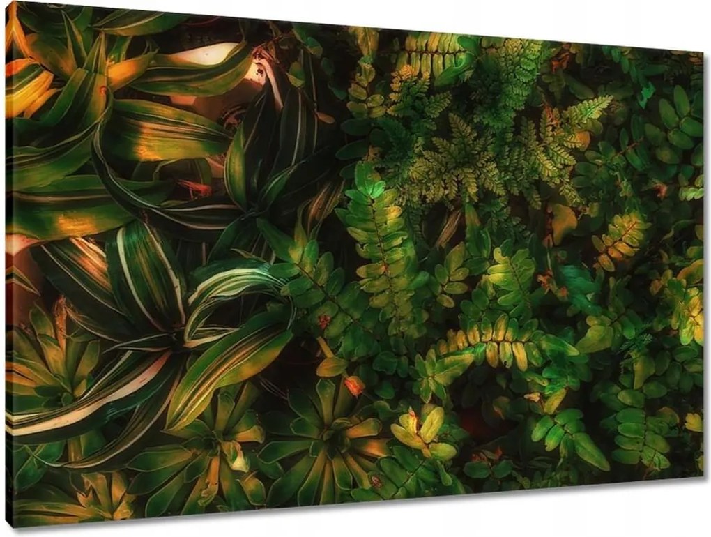 Vászonkép 90x60 Trópusi levelek Levelek