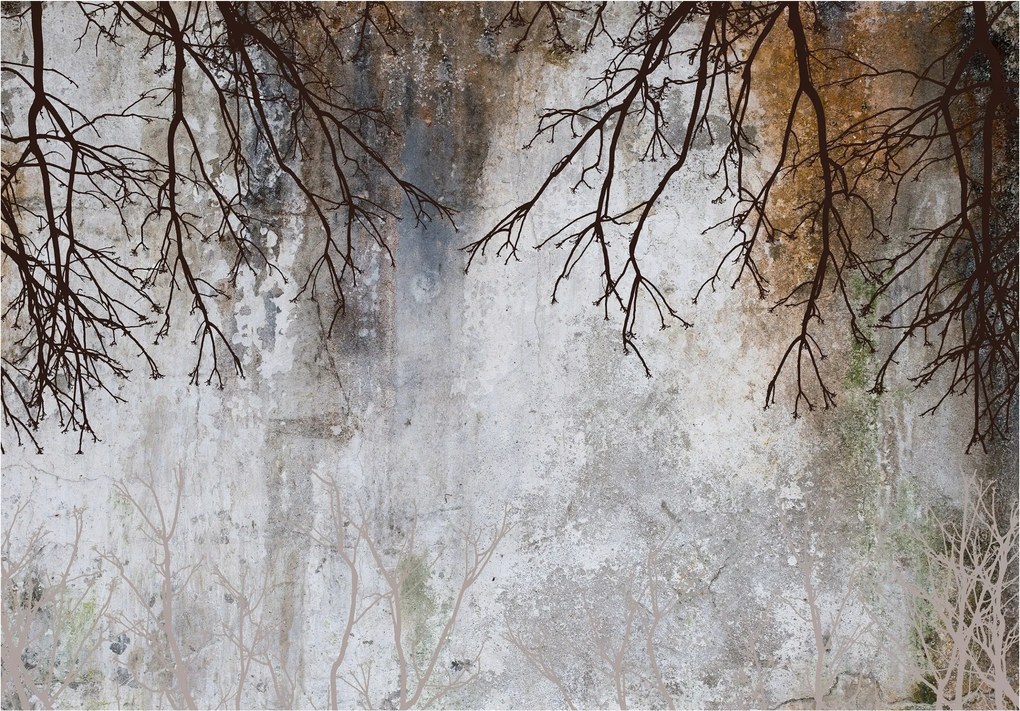 Fotótapéta Szürke gallyak absztrakt textúra vinil falra 208x146 +ragasztó