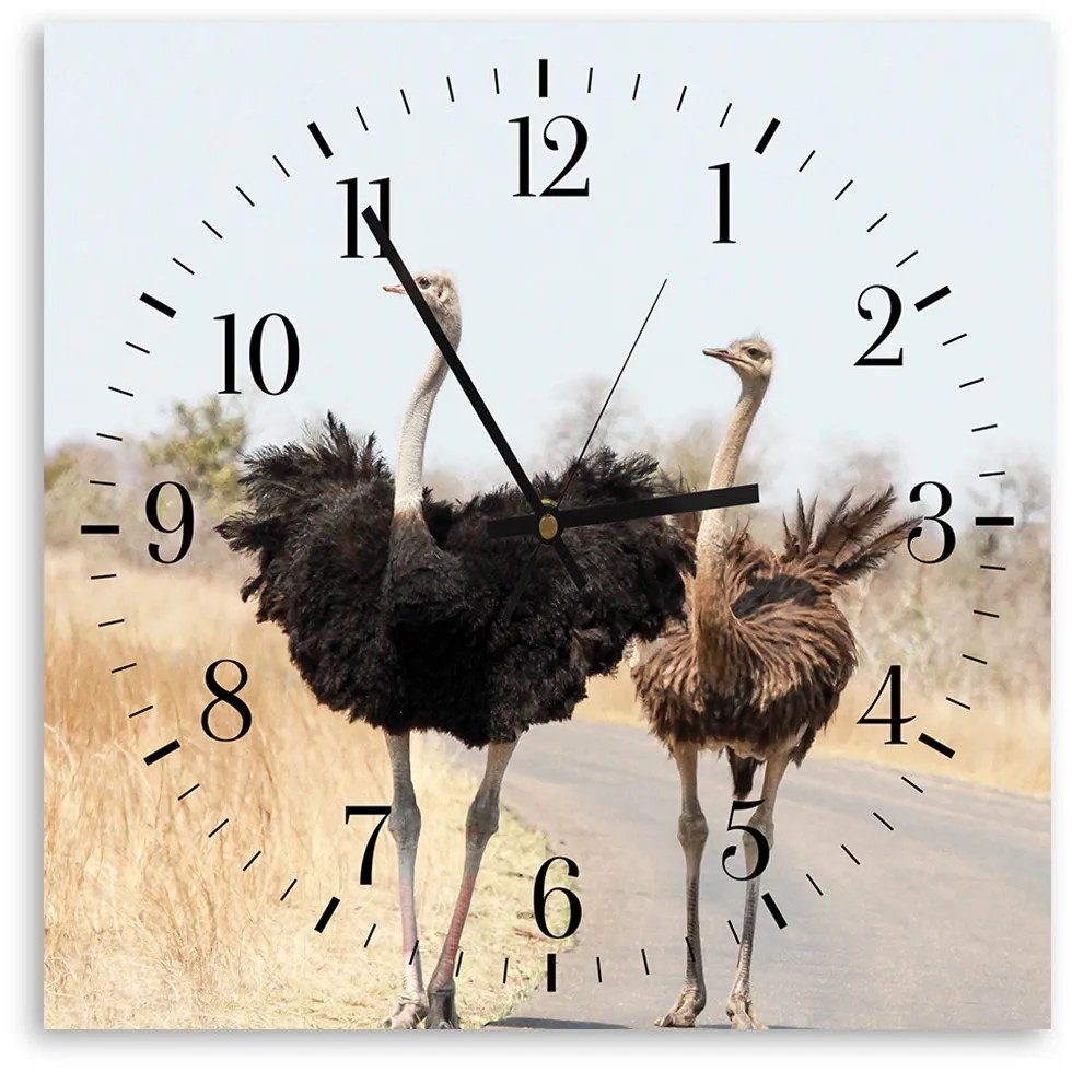 Gario Falióra Két strucc Méret: 80 x 80 cm