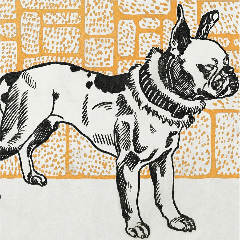 Fotótapéta Flizelina Nappali és Hálószoba Kutya retro 250x250 Ragasztó