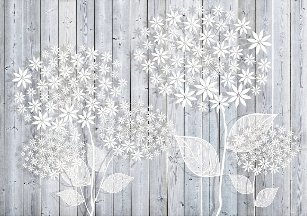 Fotótapéta Pitypang virágok fán szürke deszkák háttér 208x146 +ragasztó