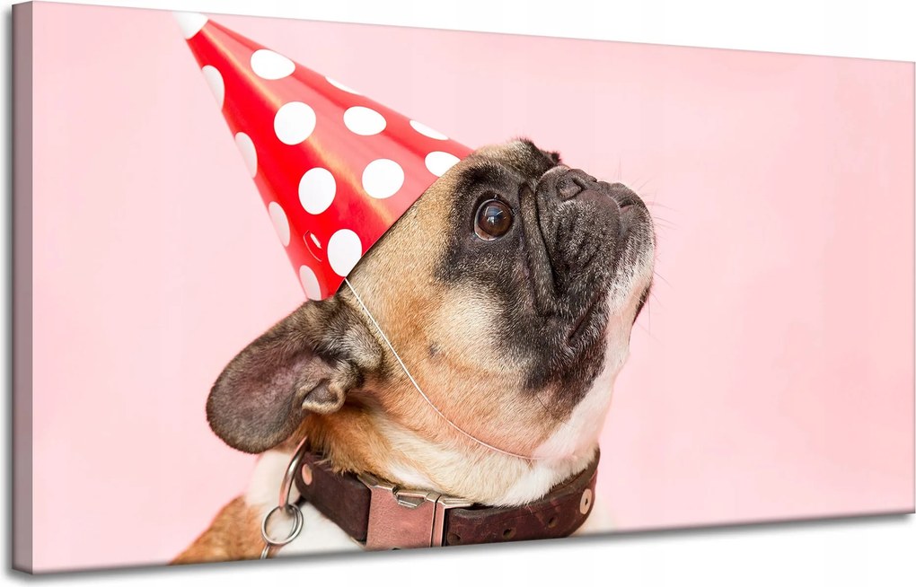 Vászonkép Ifjúsági Mopsz Születésnap Állatok Természet Kutya 120x60